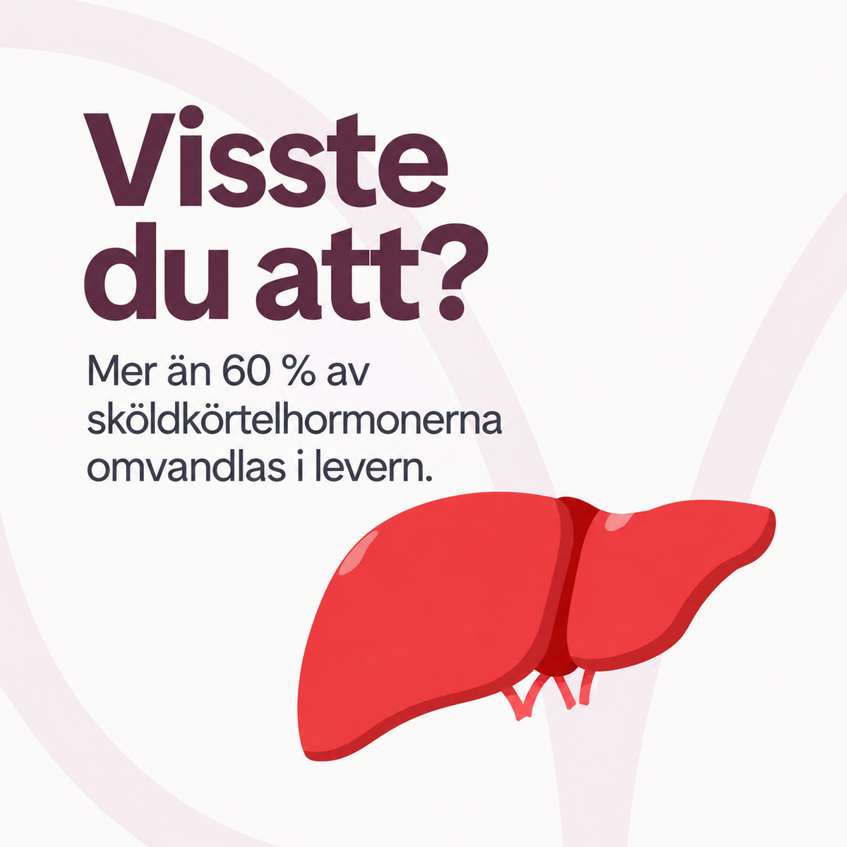 Växtextrakt, Selen & Aminosyror – 60 Kapslar