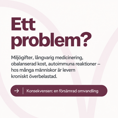 Växtextrakt, Selen & Aminosyror – 60 Kapslar