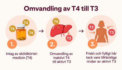 Växtextrakt, Selen & Aminosyror – 60 Kapslar