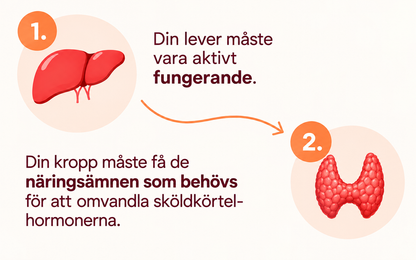 Växtextrakt, Selen & Aminosyror – 60 Kapslar